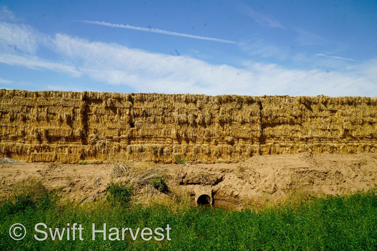 H&C Farms Retail Alfalfa 3-String Arizona Sudan Retail Bales P1-2-23S per bale