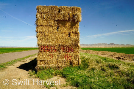 H&C Farms Retail Alfalfa 3-String Arizona Sudan Retail Bales P1-2-23S per bale