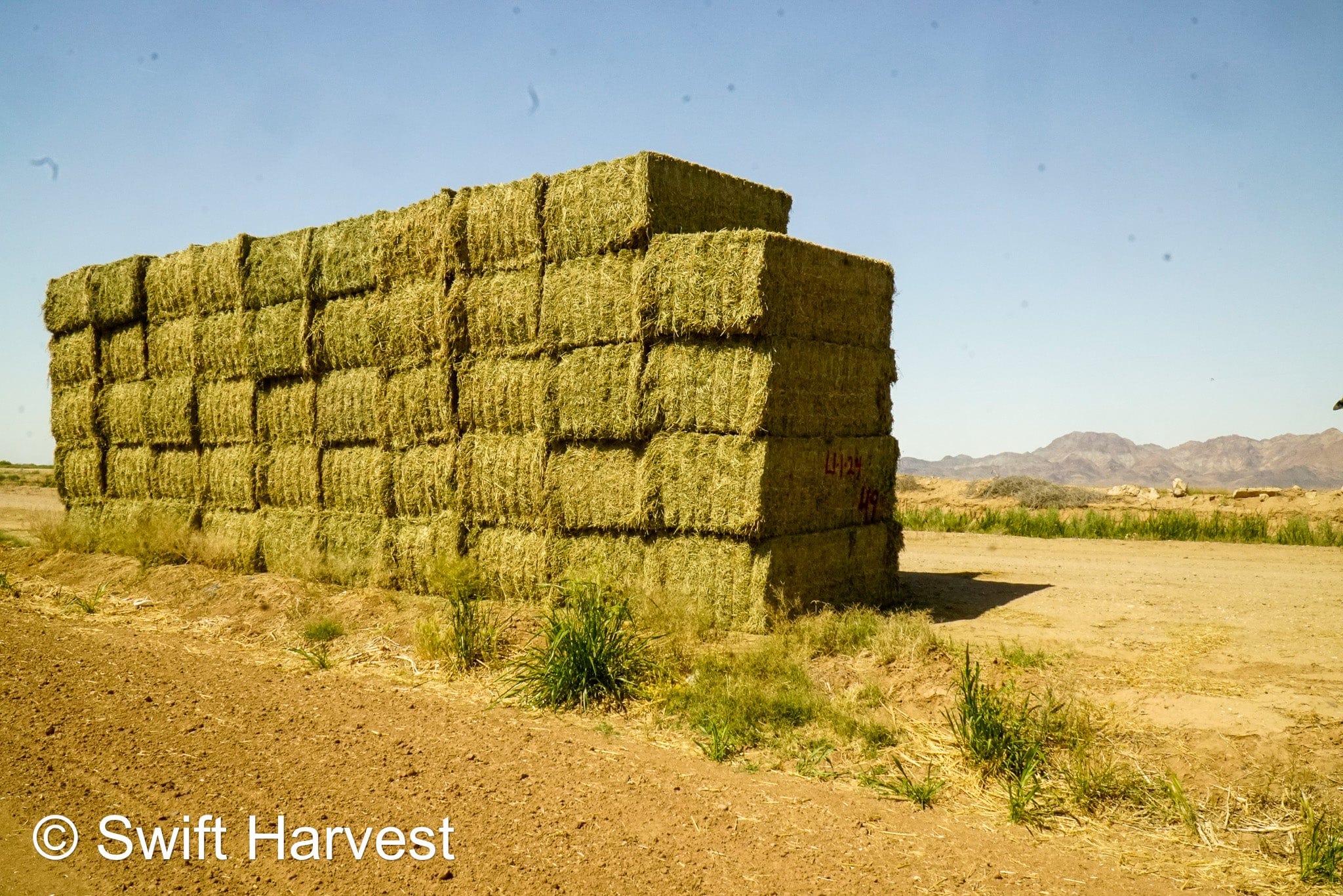 H&C Farms Retail Alfalfa 3-String L1-1-24 Arizona Alfalfa Big Bales per ton