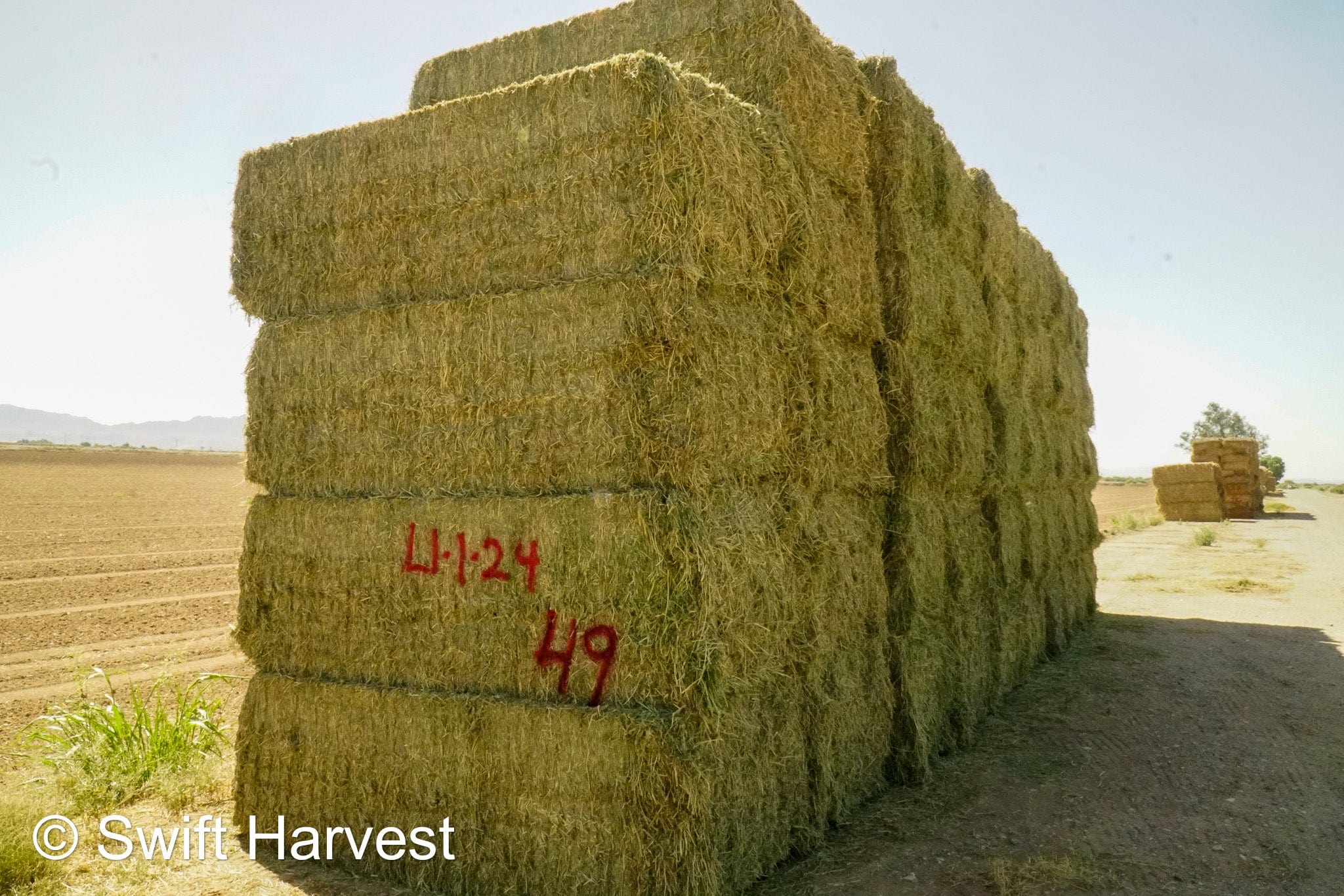 H&C Farms Retail Alfalfa 3-String L1-1-24 Premium Arizona Alfalfa Test Hay Big Bales per ton