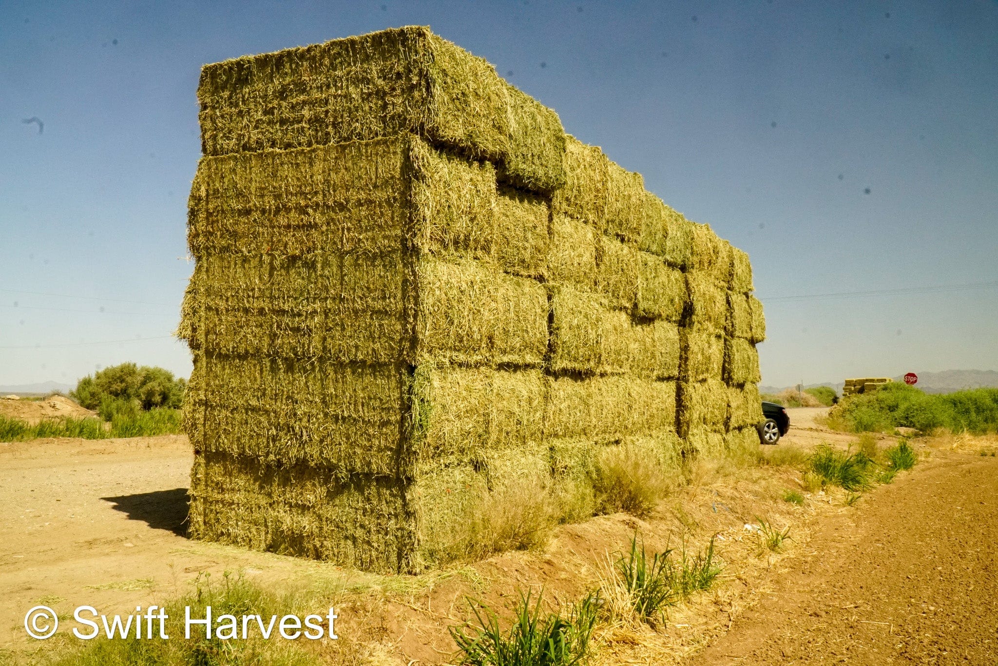 H&C Farms Retail Alfalfa 3-String L1-1-24 Premium Arizona Alfalfa Test Hay Big Bales per ton