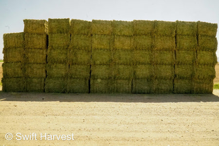 H&C Farms Retail Alfalfa 3-String L1-1-24 Premium Arizona Alfalfa Test Hay Big Bales per ton