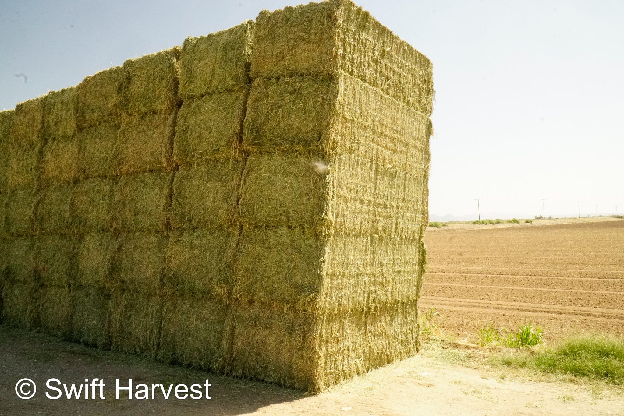 H&C Farms Retail Alfalfa 3-String L1-1-24 Premium Arizona Alfalfa Test Hay Big Bales per ton