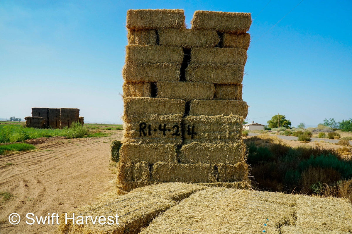 H&C Farms Retail Alfalfa 3-String R1-4-24 Good AZ Small Bale Alfalfa CP 20 RFV 138 TDN 57 FACS 91/110