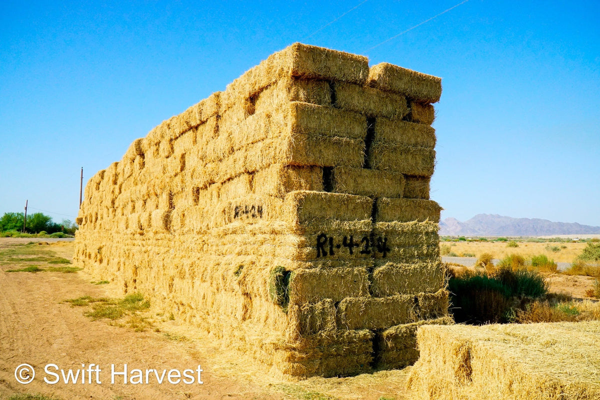 H&C Farms Retail Alfalfa 3-String R1-4-24 Good AZ Small Bale Alfalfa CP 20 RFV 138 TDN 57 FACS 91/110