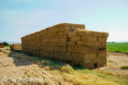 H&C Farms Retail Alfalfa 3-String R1-4-24 Good AZ Small Bale Alfalfa CP 20 RFV 138 TDN 57 FACS 91/110