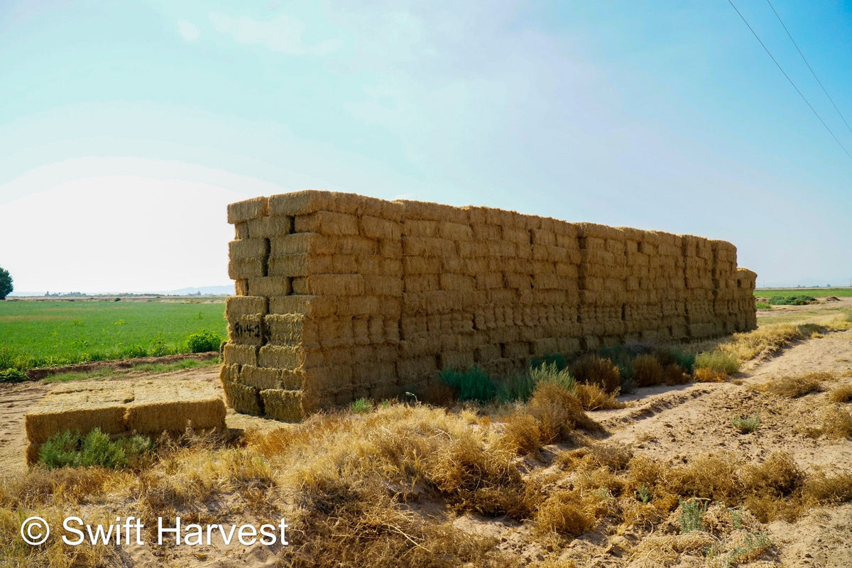 H&C Farms Retail Alfalfa 3-String R1-4-24 Good AZ Small Bale Alfalfa CP 20 RFV 138 TDN 57 FACS 91/110