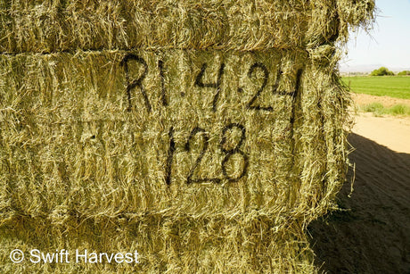 H&C Farms Retail Alfalfa 3-String R1-4-24 Supreme Arizona Alfalfa Test Hay Big Bales per ton