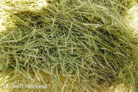 H&C Farms Retail Bermuda Hay NB1-1-23 Bermuda 3-String Hay under 100 lbs per bale