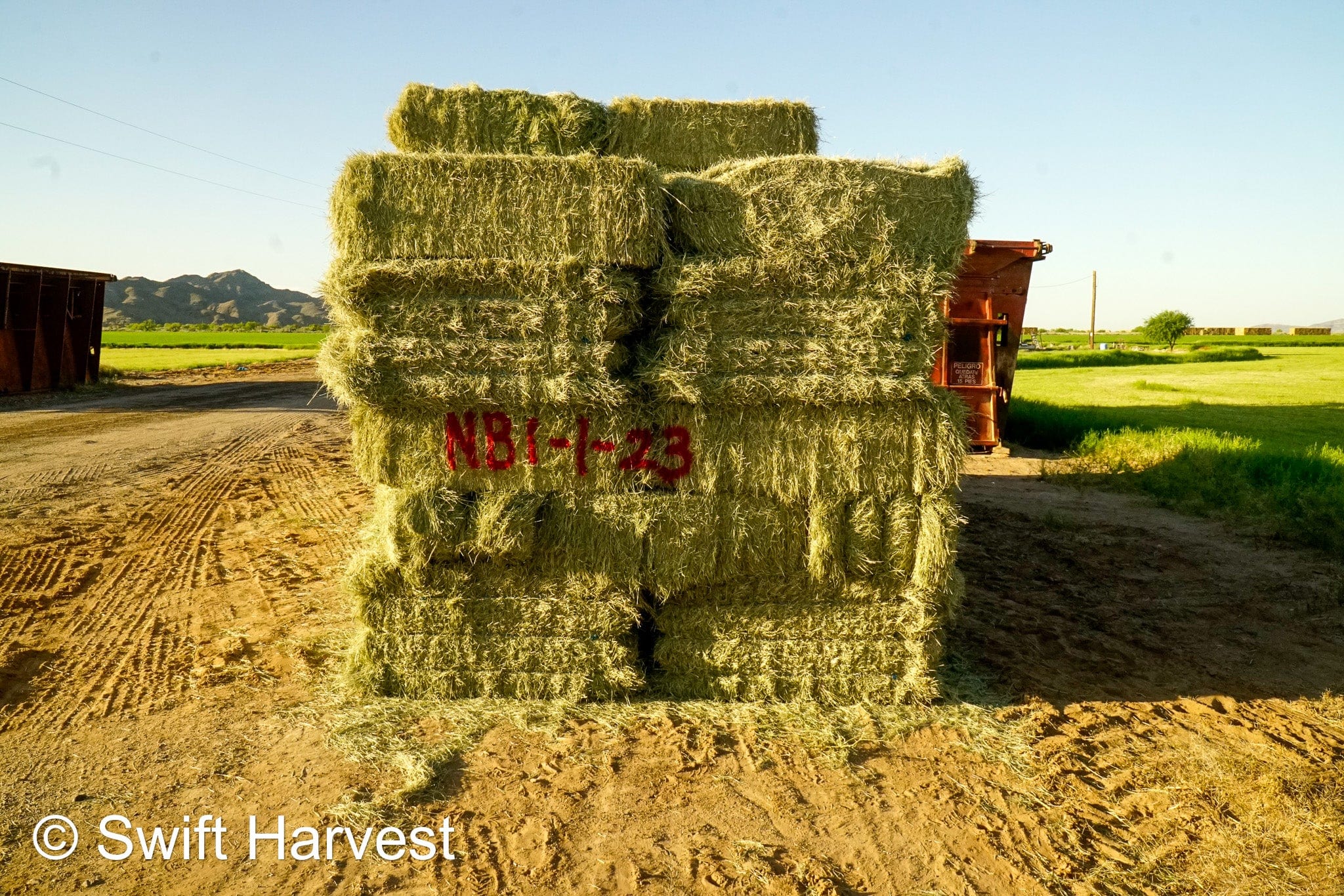 H&C Farms Retail Bermuda Hay NB1-1-23 Bermuda 3-String Hay under 100 lbs per bale