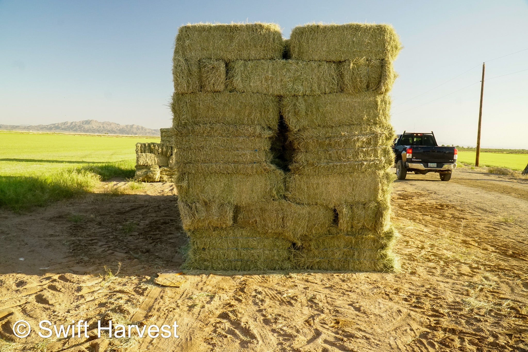 H&C Farms Retail Bermuda Hay NB1-1-23 Bermuda 3-String Hay under 100 lbs per bale