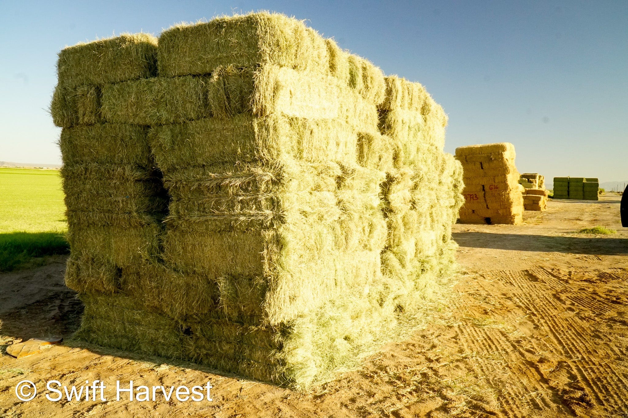 H&C Farms Retail Bermuda Hay NB1-1-23 Bermuda 3-String Hay under 100 lbs per bale