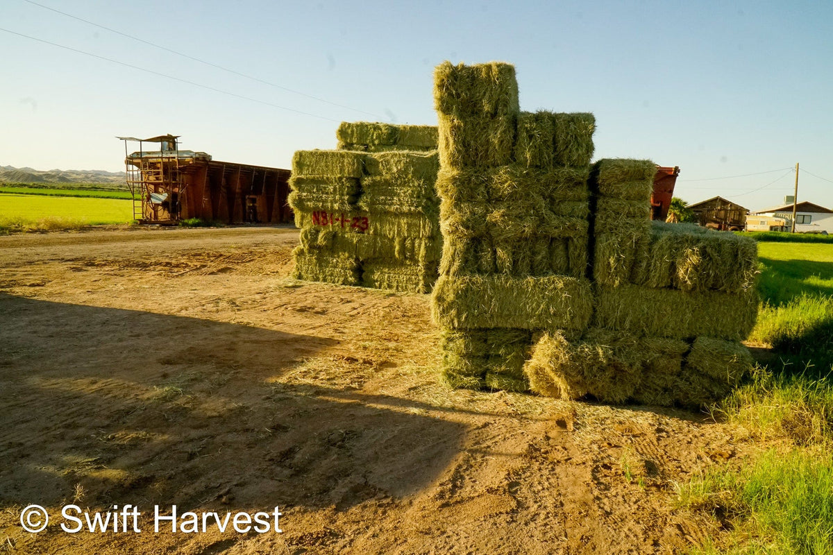 H&C Farms Retail Bermuda Hay NB1-1-23 Bermuda 3-String Hay under 100 lbs per bale