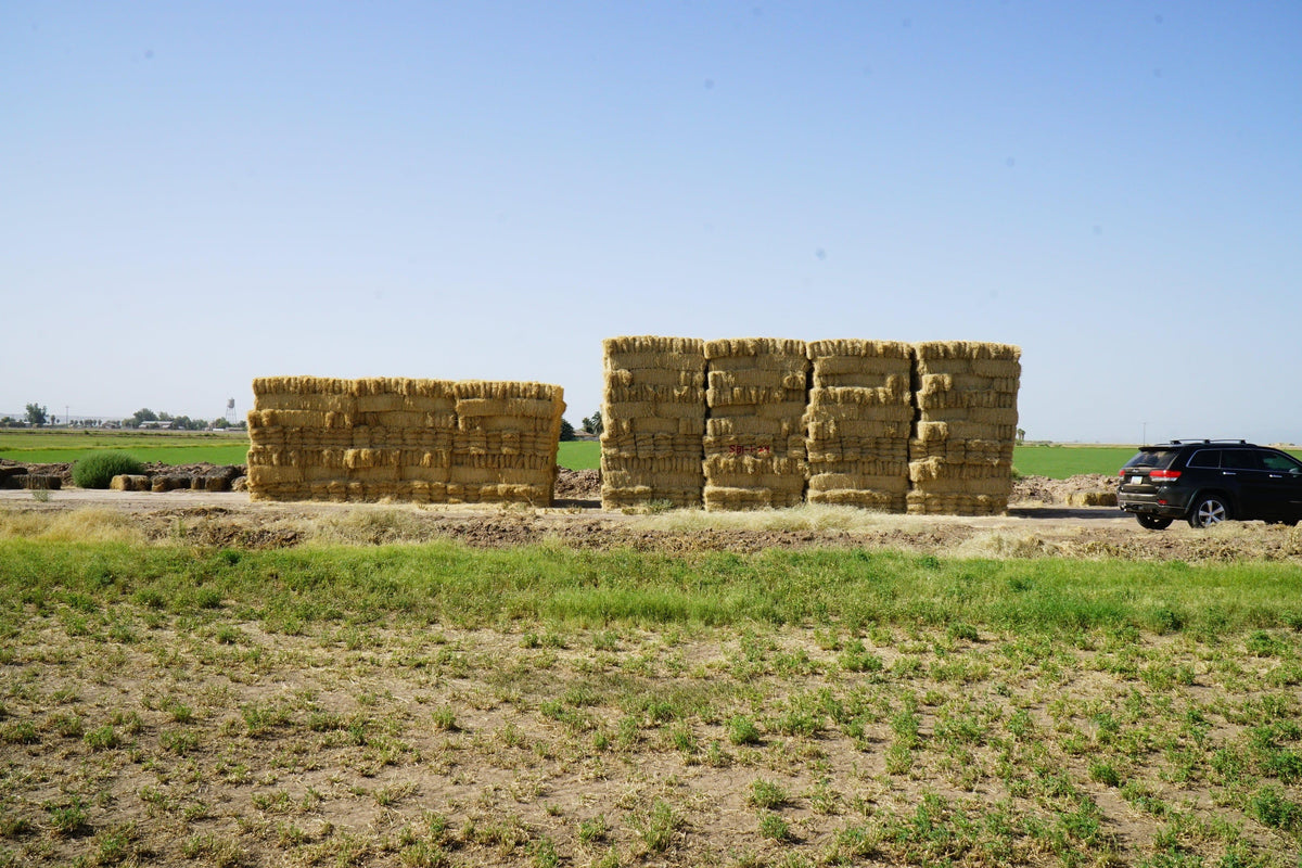 H&C Farms Retail Bermuda Hay NB1-1-24 Bermuda 3-String Hay under 100 lbs per bale