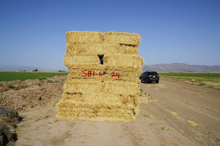 H&C Farms Retail Bermuda Hay NB1-1-24 Bermuda 3-String Hay under 100 lbs per bale