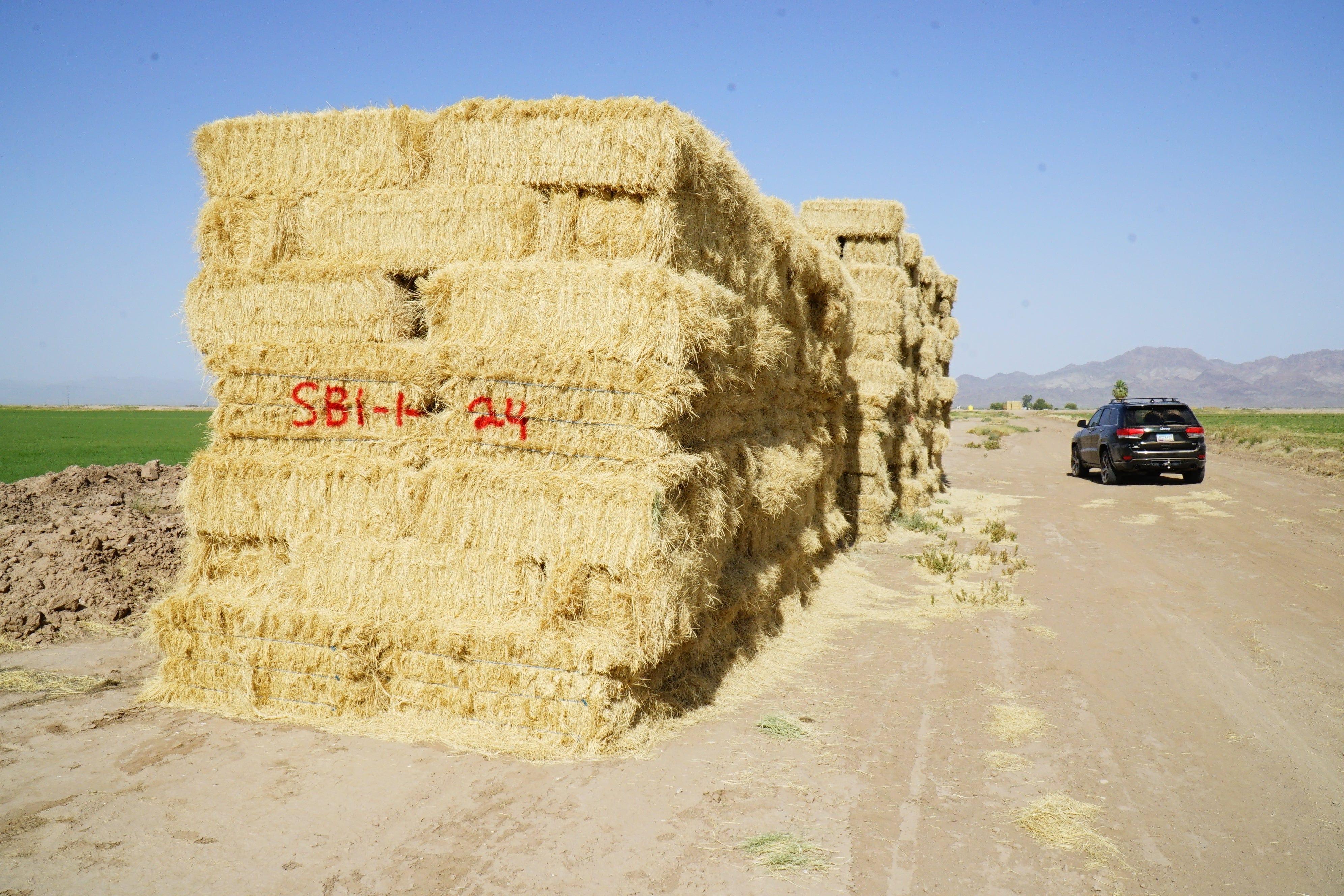 H&C Farms Retail Bermuda Hay NB1-1-24 Bermuda 3-String Hay under 100 lbs per bale