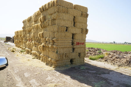 H&C Farms Retail Bermuda Hay NB1-1-24 Bermuda 3-String Hay under 100 lbs per bale