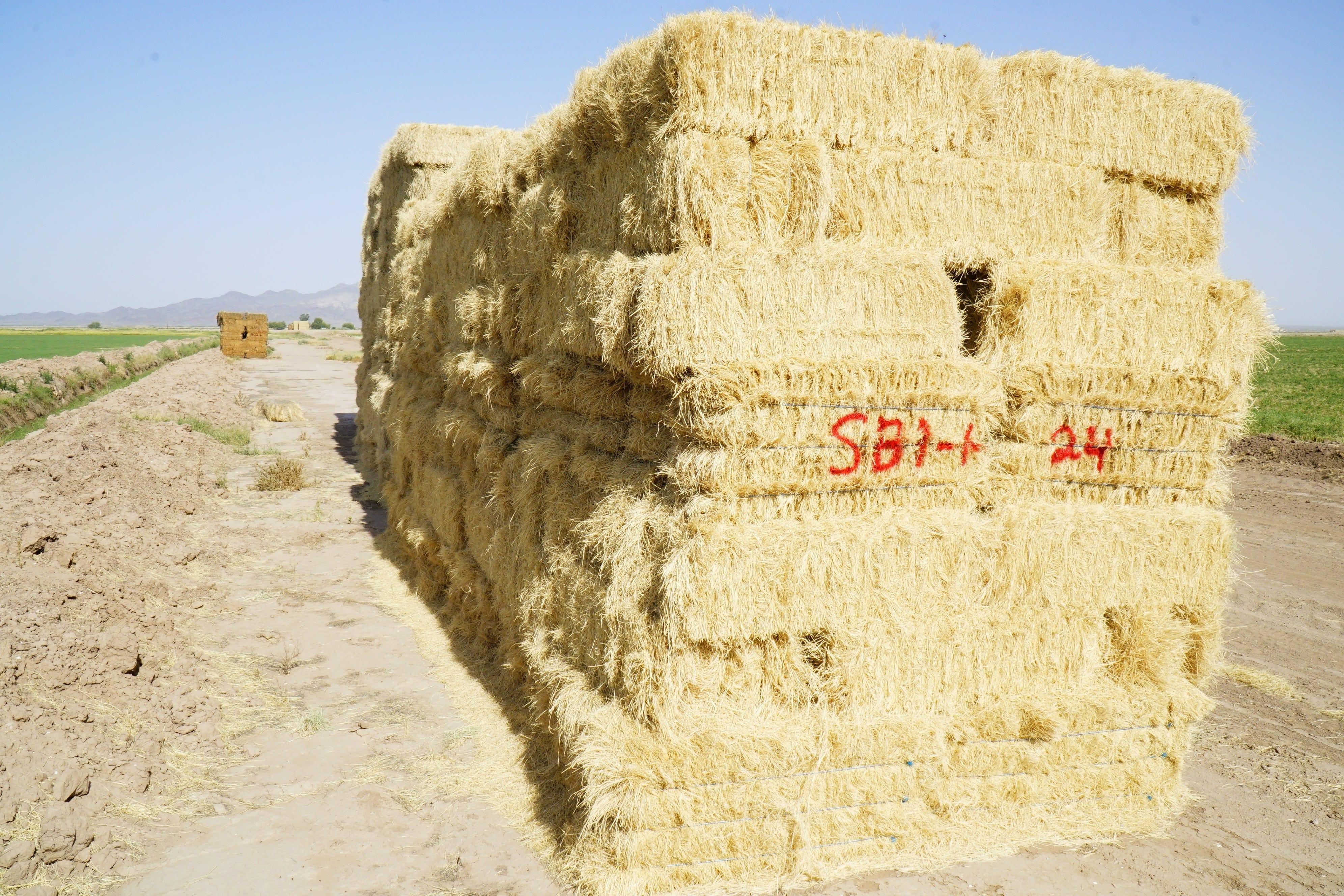 H&C Farms Retail Bermuda Hay NB1-1-24 Bermuda 3-String Hay under 100 lbs per bale