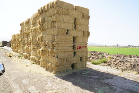 H&C Farms Retail Bermuda Hay NB1-1-24 Bermuda 3-String Hay under 100 lbs per bale