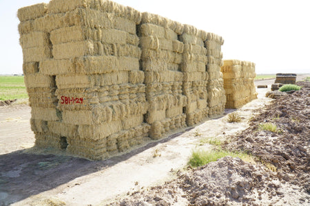 H&C Farms Retail Bermuda Hay NB1-1-24 Bermuda 3-String Hay under 100 lbs per bale