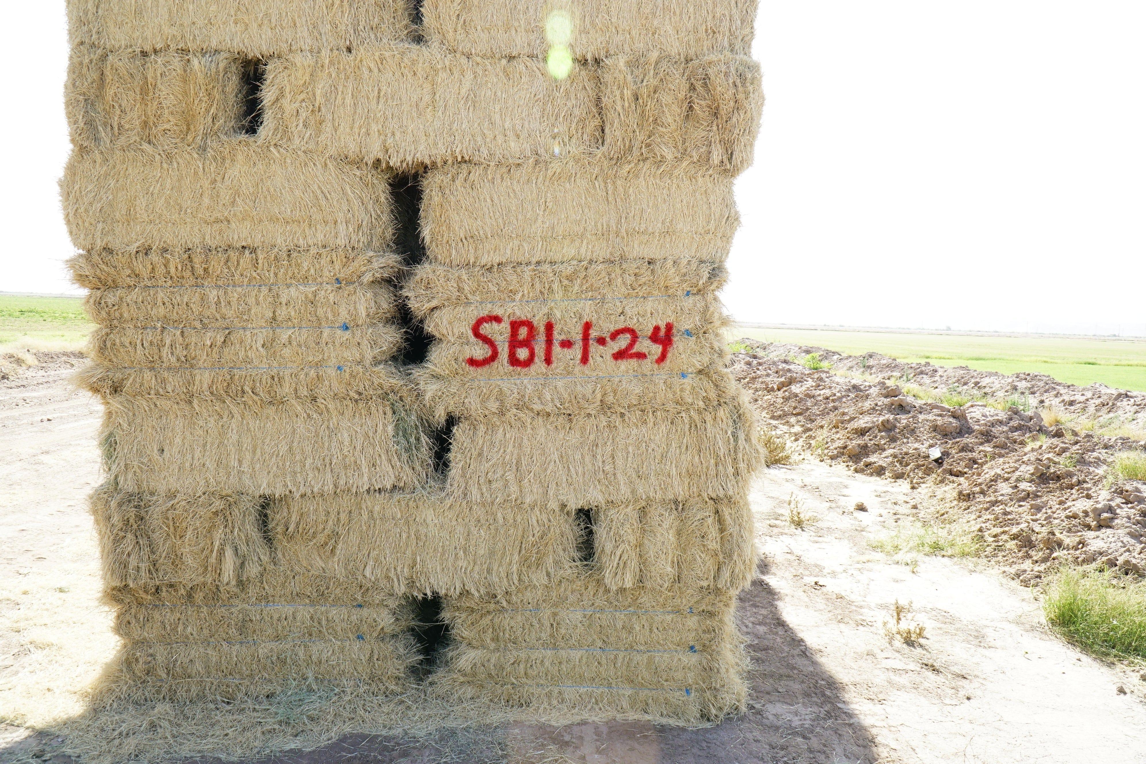 H&C Farms Retail Bermuda Hay NB1-1-24 Bermuda 3-String Hay under 100 lbs per bale