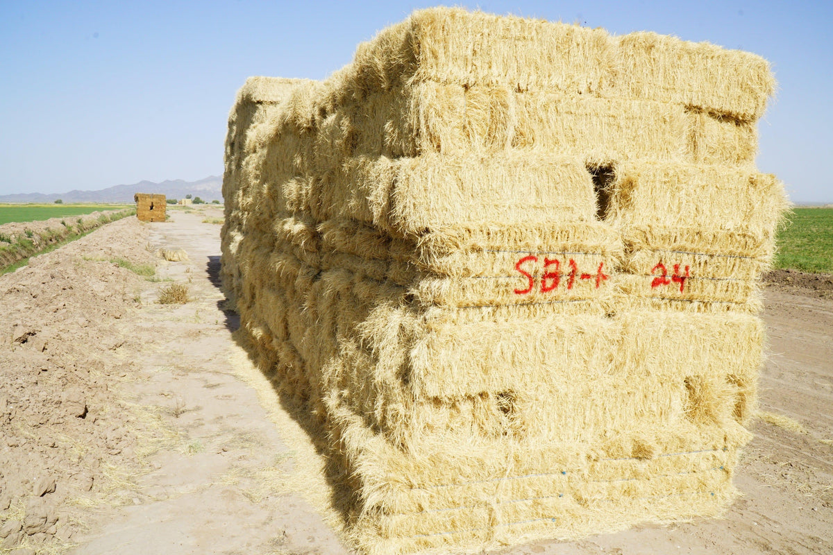 H&C Farms Retail Bermuda Hay NB1-1-24 Bermuda 3-String Hay under 100 lbs per bale