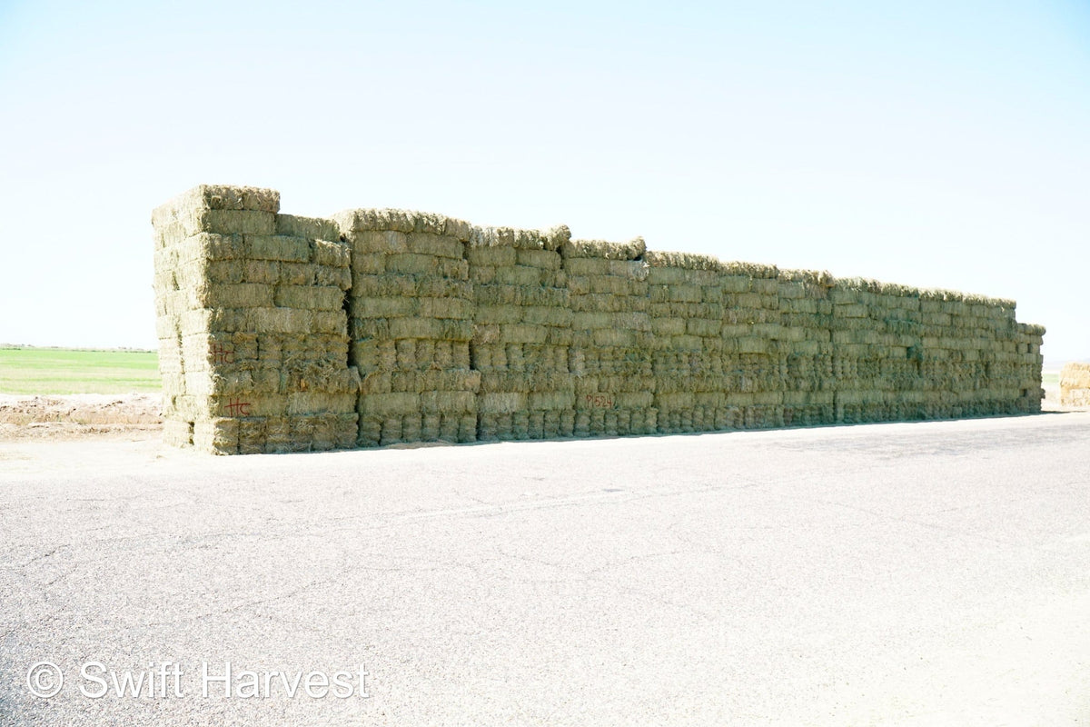 H&C Farms small bales P1-5-24 Fair/Good AZ Small Bales Alfalfa CP 18 RFV 134 TDN 55 FACS 89/110