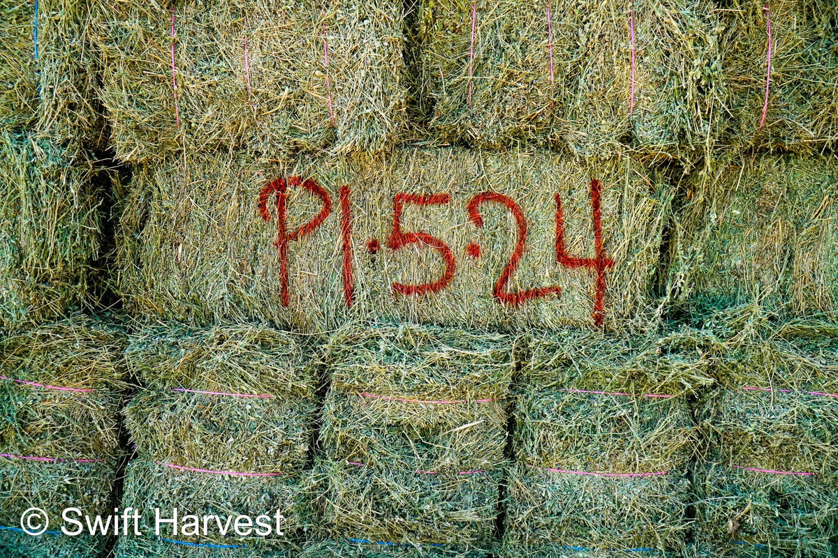 H&C Farms small bales P1-5-24 Fair/Good AZ Small Bales Alfalfa CP 18 RFV 134 TDN 55 FACS 89/110