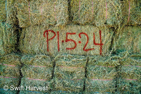 H&C Farms small bales P1-5-24 Fair/Good AZ Small Bales Alfalfa CP 18 RFV 134 TDN 55 FACS 89/110