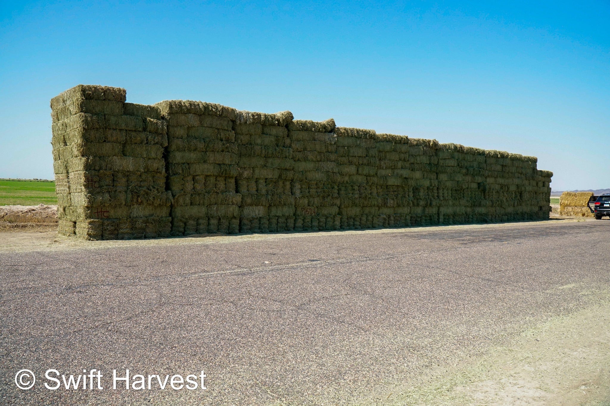 H&C Farms small bales P1-5-24 Fair/Good AZ Small Bales Alfalfa CP 18 RFV 134 TDN 55 FACS 89/110