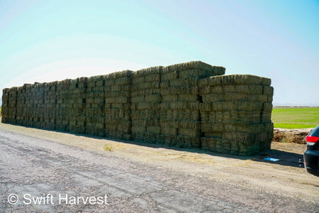 H&C Farms small bales P1-5-24 Fair/Good AZ Small Bales Alfalfa CP 18 RFV 134 TDN 55 FACS 89/110