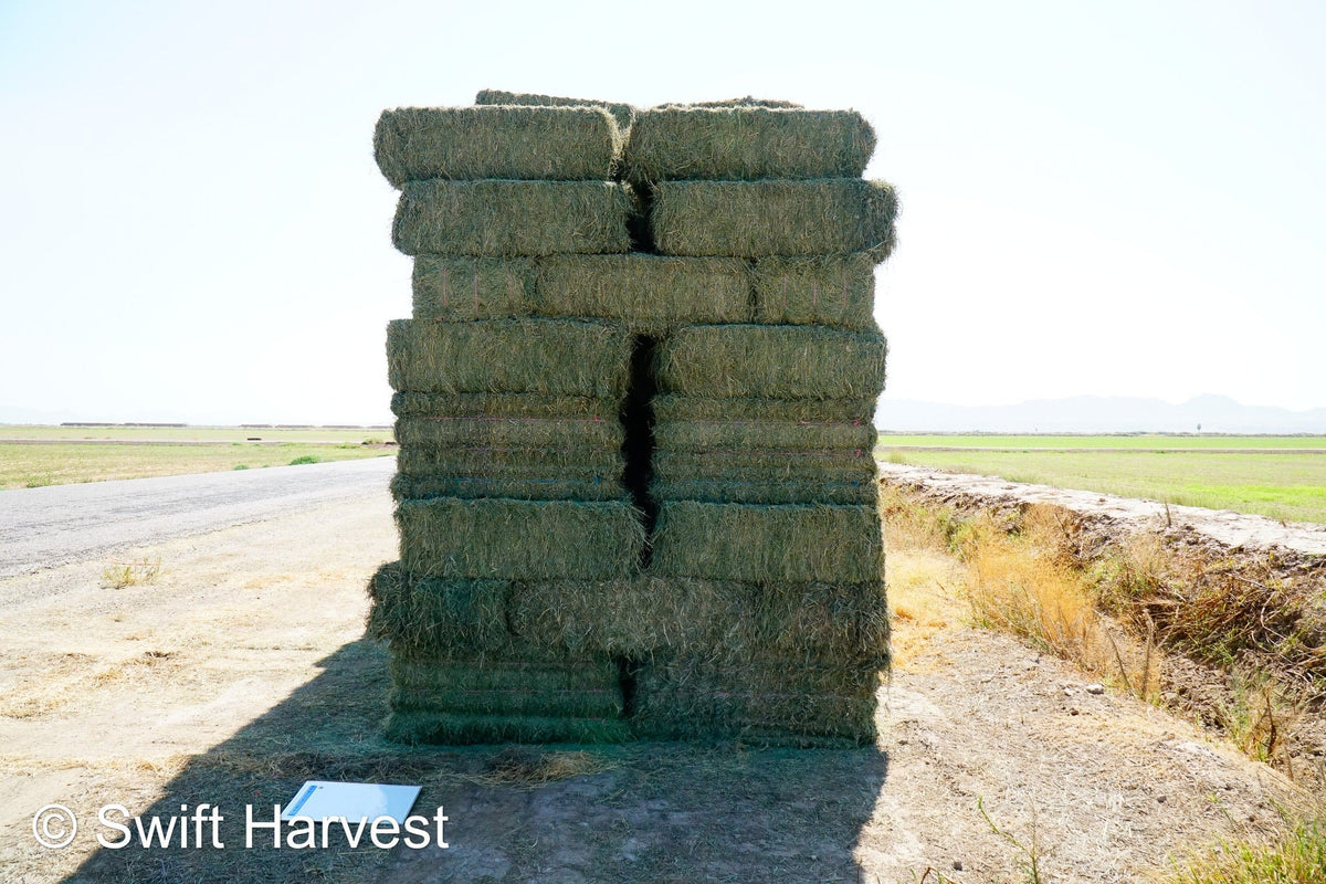 H&C Farms small bales P1-5-24 Fair/Good AZ Small Bales Alfalfa CP 18 RFV 134 TDN 55 FACS 89/110