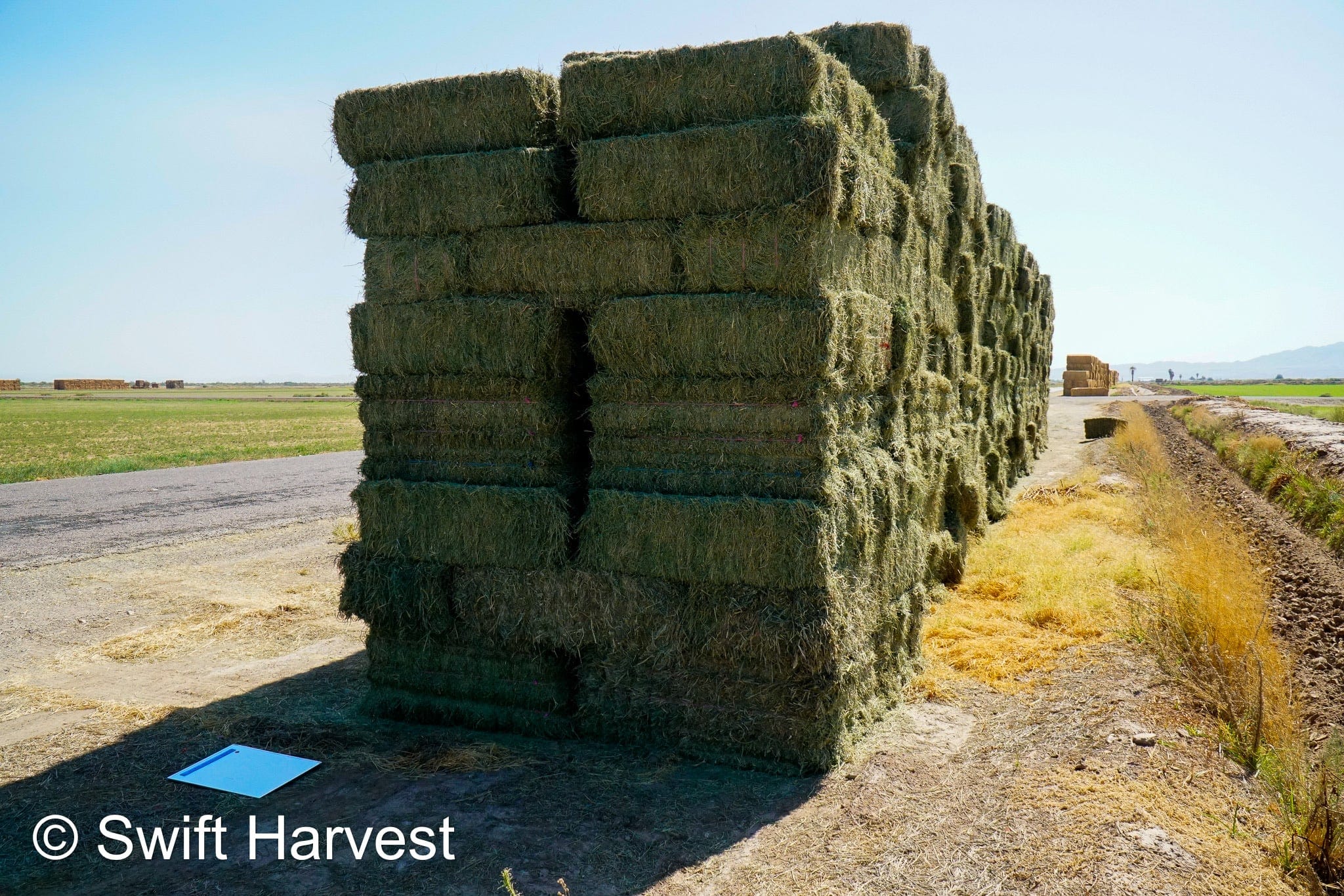 H&C Farms small bales P1-5-24 Fair/Good AZ Small Bales Alfalfa CP 18 RFV 134 TDN 55 FACS 89/110