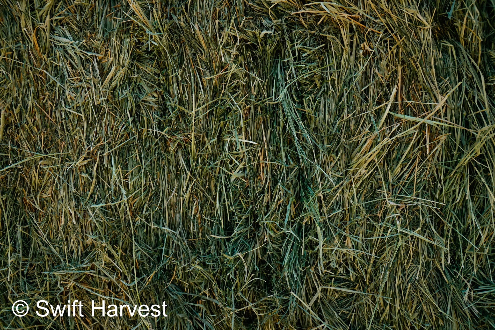 H&C Farms small bales P1-5-24 Fair/Good AZ Small Bales Alfalfa CP 18 RFV 134 TDN 55 FACS 89/110