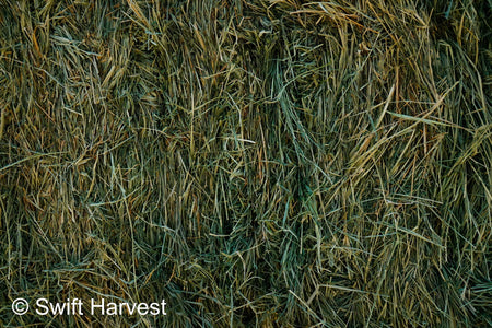 H&C Farms small bales P1-5-24 Fair/Good AZ Small Bales Alfalfa CP 18 RFV 134 TDN 55 FACS 89/110