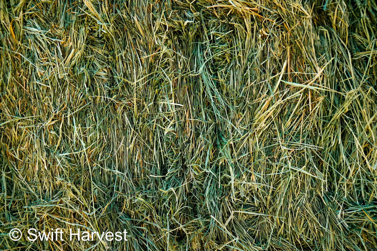 H&C Farms small bales P1-5-24 Fair/Good AZ Small Bales Alfalfa CP 18 RFV 134 TDN 55 FACS 89/110