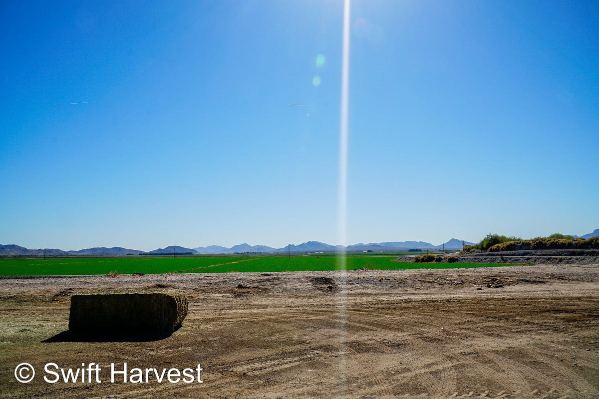 John Family Farm Arizona Alfalfa #1 Retail JFF-8-24-Barn 1  #1 Retail  Az. Alfalfa Steamer  FACS 94/110 Non GMO Non Roundup Ready Steamer Hay