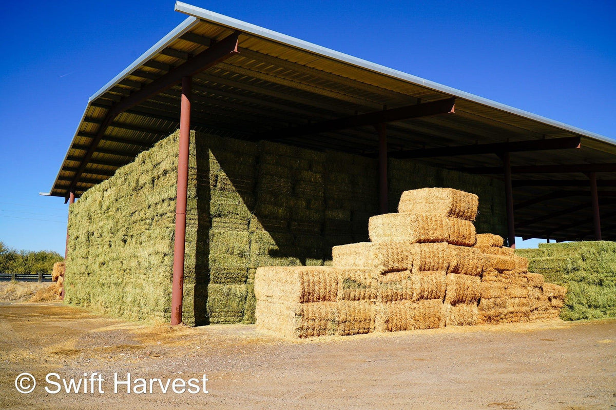 John Family Farm Arizona Alfalfa #1 Retail JFF-8-24-Barn 1  #1 Retail  Az. Alfalfa Steamer  FACS 94/110 Non GMO Non Roundup Ready Steamer Hay