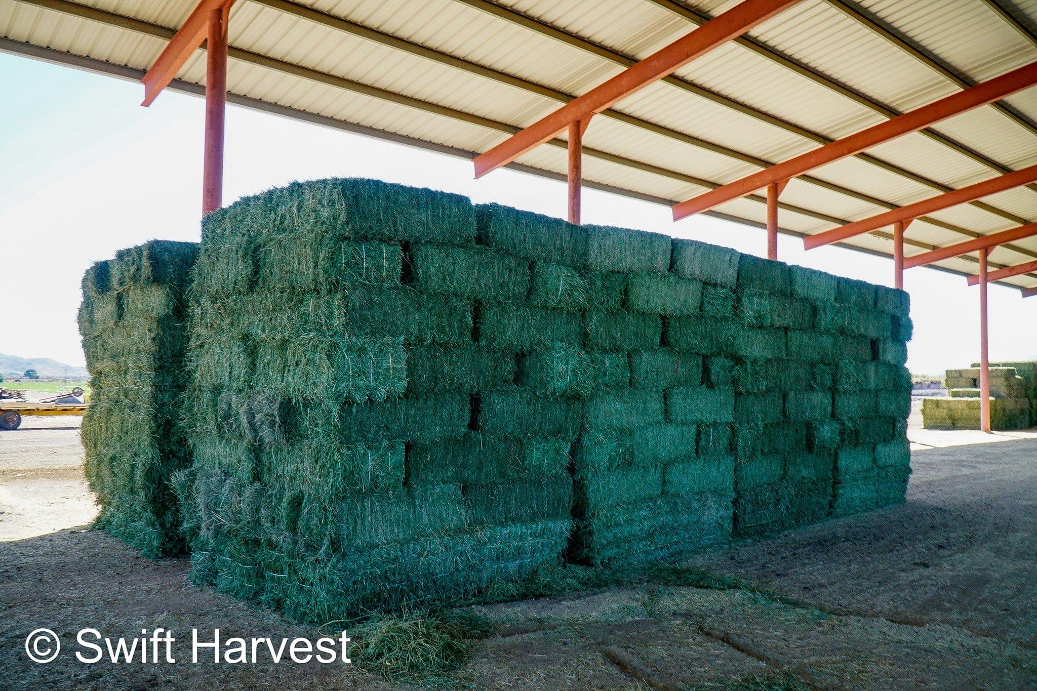 John Family Farm Arizona Alfalfa #1 Retail JFF-8-24-Barn 1  #1 Retail  Az. Alfalfa Steamer  FACS 94/110 Non GMO Non Roundup Ready Steamer Hay