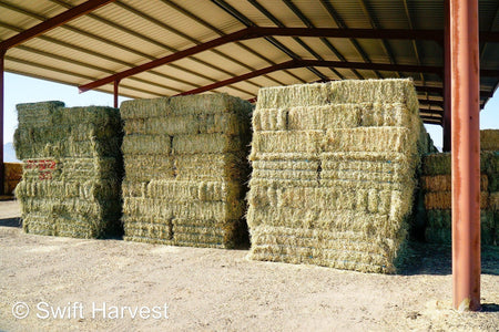 John Family Farm Arizona Alfalfa #1 Retail JFF-B1-7-24  #1 Retail  Az. Alfalfa Steamer  FACS 104/110 Non GMO Non Roundup Ready Steamer Hay