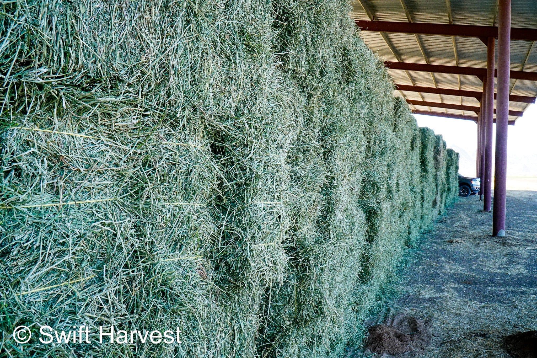 John Family Farm Arizona Alfalfa #1 Retail JFF-B2-7-24  Retail  Az. Alfalfa Bermuda Grass Mix 15-20%  FACS 98/110 Non GMO Non Roundup Ready Steamer Hay