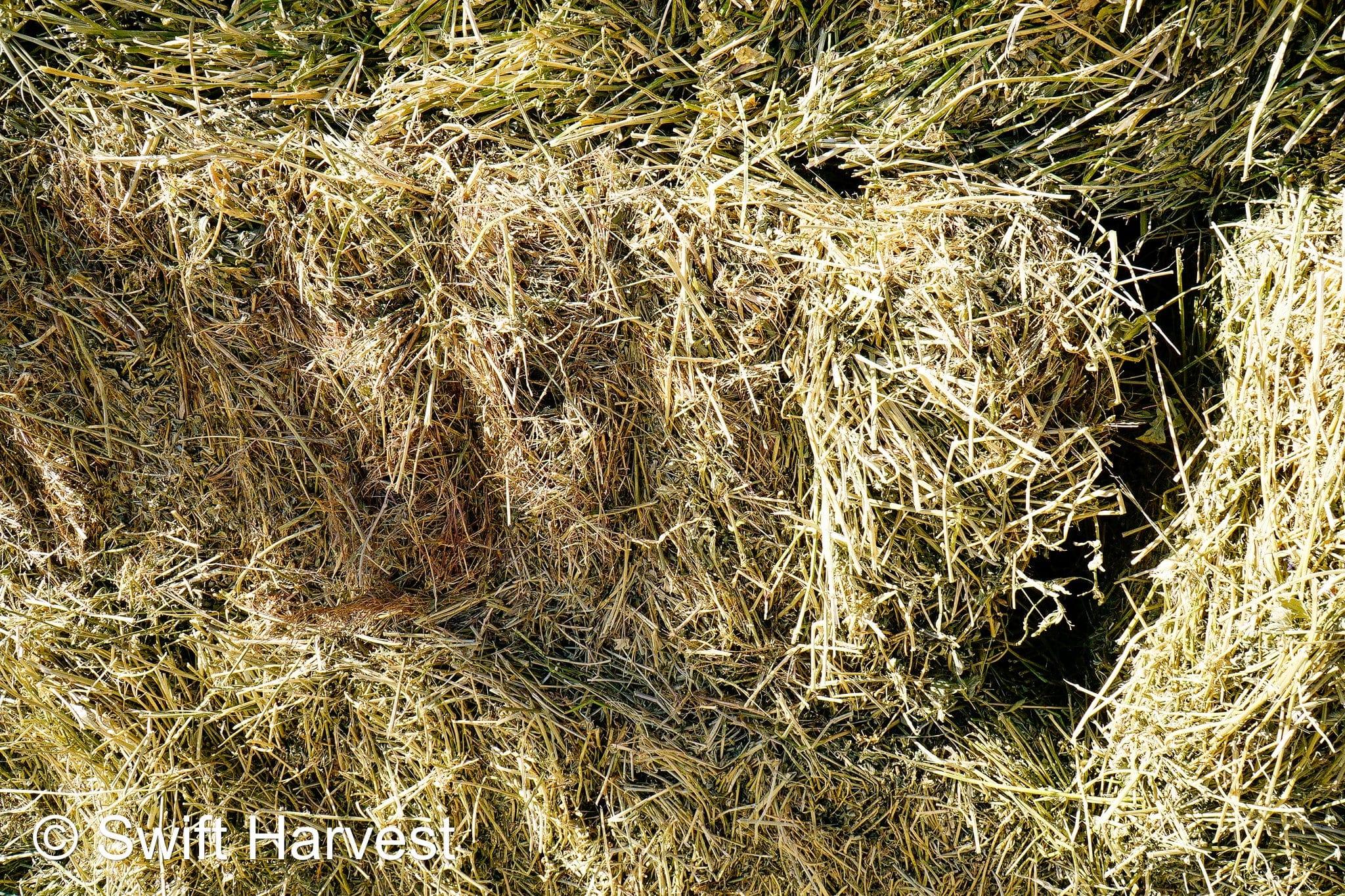 John Family Farm Arizona Alfalfa #1 Retail JFF-B2-7-24  Retail  Az. Alfalfa Bermuda Grass Mix 15-20%  FACS 98/110 Non GMO Non Roundup Ready Steamer Hay