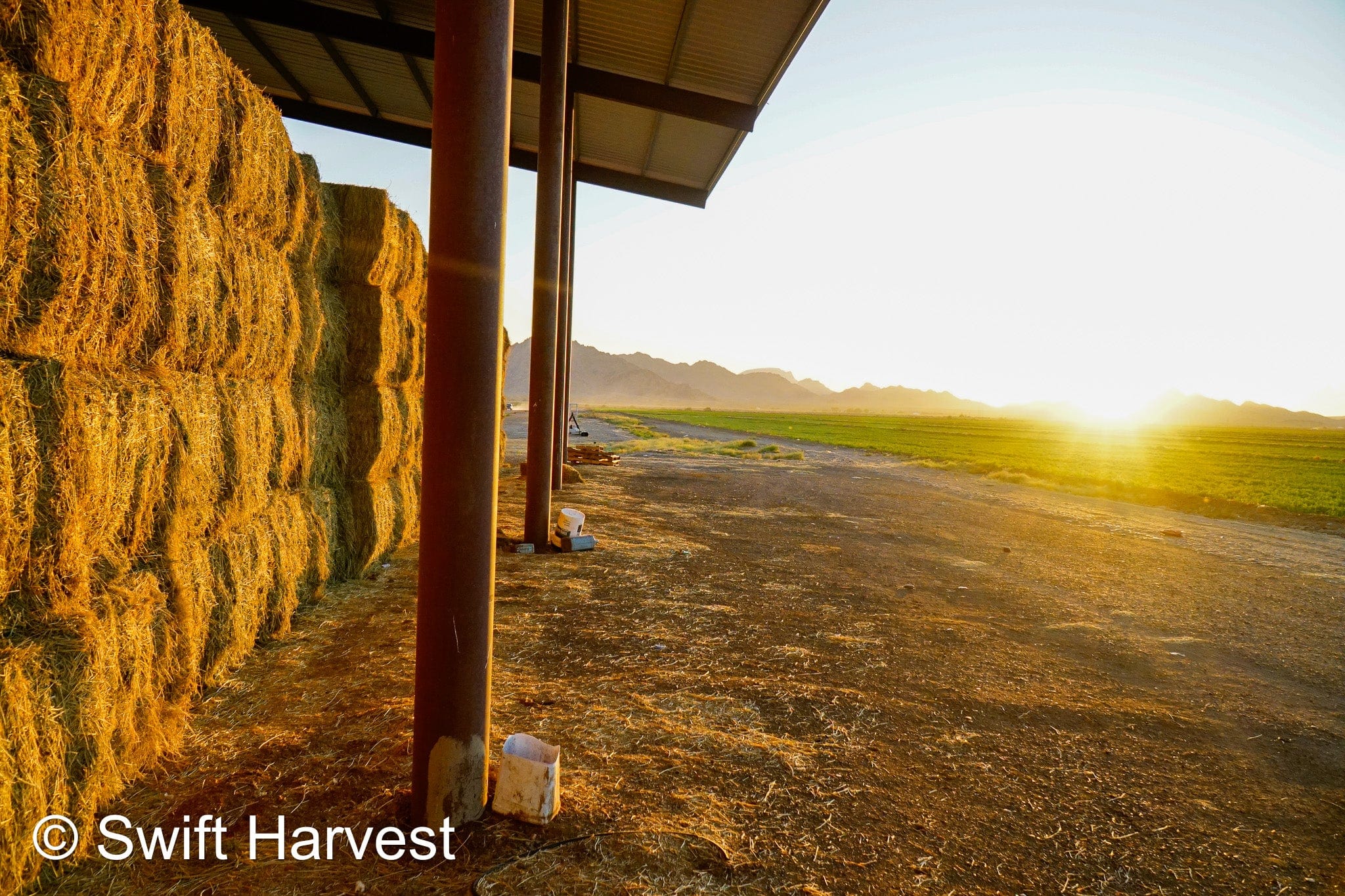 John Family Farm Arizona Alfalfa Big Bale JJF-3-24-B2