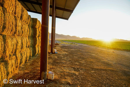 John Family Farm Arizona Alfalfa Big Bale JJF-3-24-B2