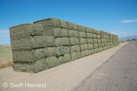 Martinez Farms Arizona Alfalfa Big Bale 27-6 AZ Fair Big Bales Alfalfa CP 17 RFV 141 TDN 56 FACS 95/110