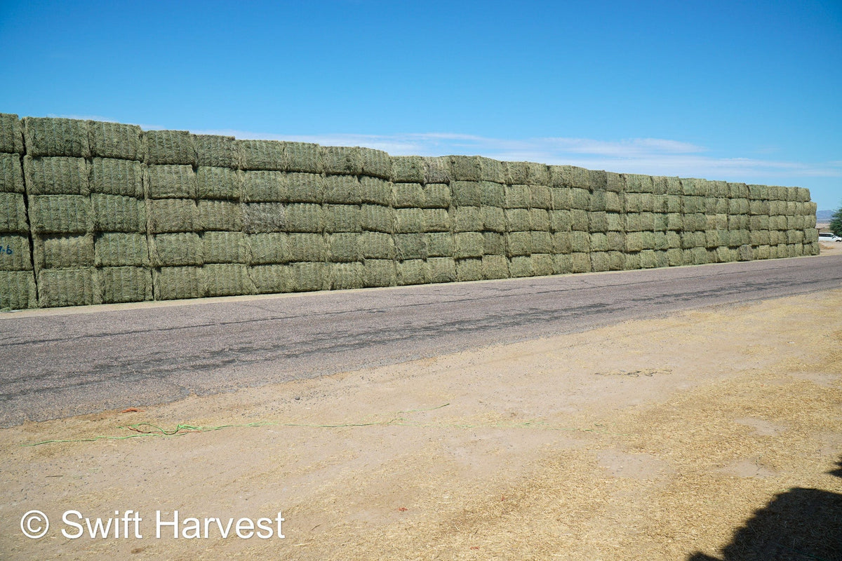 Martinez Farms Arizona Alfalfa Big Bale 27-6 AZ Fair Big Bales Alfalfa CP 17 RFV 141 TDN 56 FACS 95/110