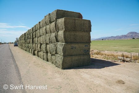 Martinez Farms Arizona Alfalfa Big Bale 27-6 AZ Fair Big Bales Alfalfa CP 17 RFV 141 TDN 56 FACS 95/110