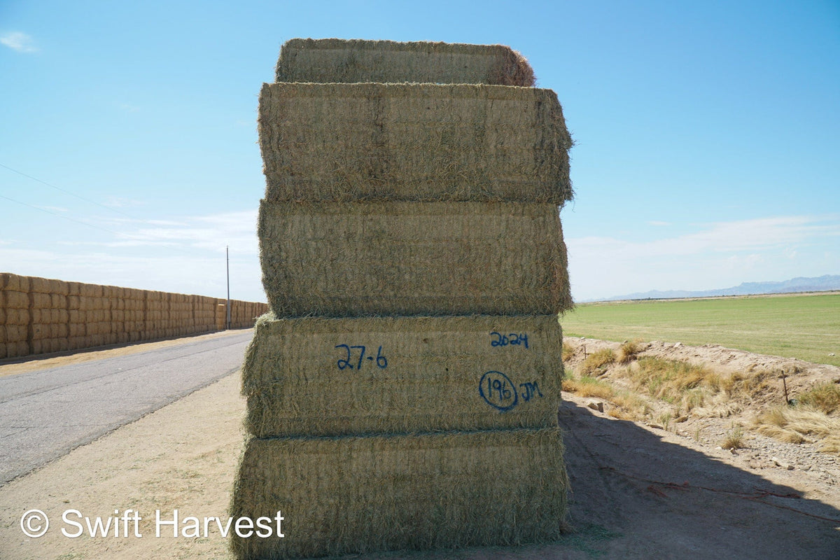 Martinez Farms Arizona Alfalfa Big Bale 27-6 AZ Fair Big Bales Alfalfa CP 17 RFV 141 TDN 56 FACS 95/110