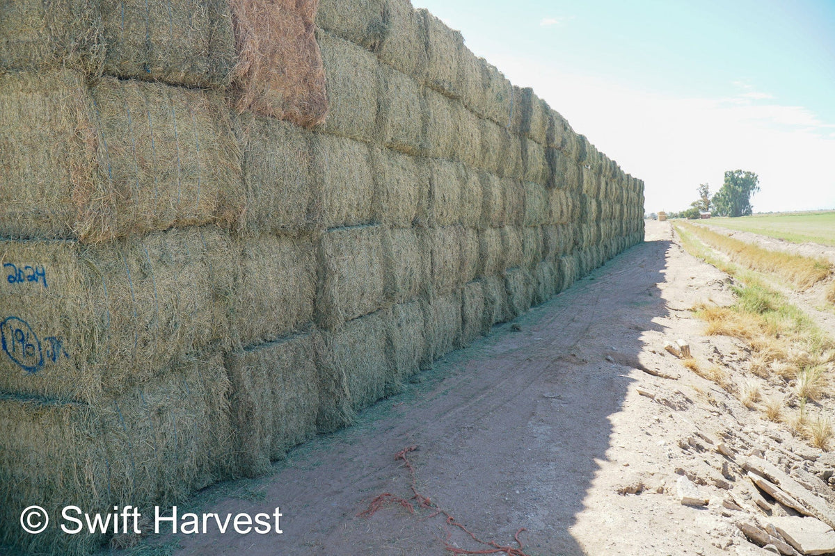 Martinez Farms Arizona Alfalfa Big Bale 27-6 AZ Fair Big Bales Alfalfa CP 17 RFV 141 TDN 56 FACS 95/110