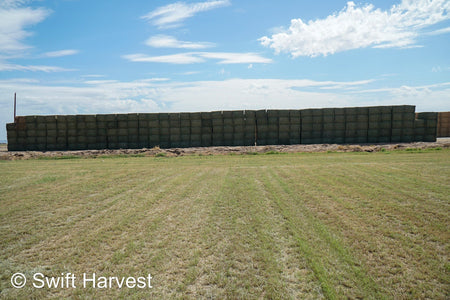 Martinez Farms Arizona Alfalfa Big Bale 27-6 AZ Fair Big Bales Alfalfa CP 17 RFV 141 TDN 56 FACS 95/110